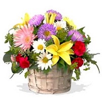 Ankara çiçek siparişi sitemizin görsel ürünü  kır çiçeklerinden mevsim sepeti Ankara çiçek gönder firması şahane ürünümüz 